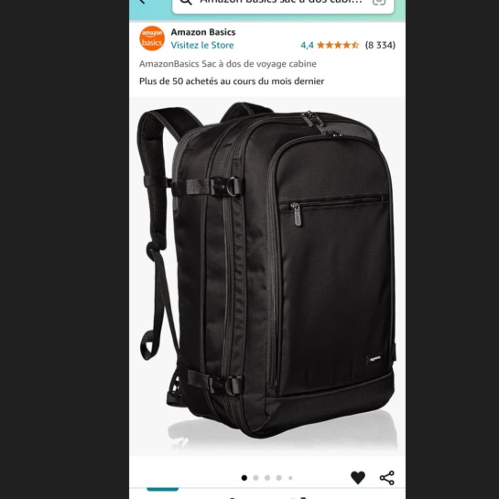 Amazon basics Carry-on / travel backpack
